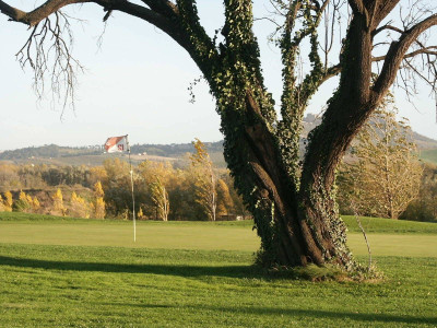 Oasi di Magliano I Fiordalisi Golf